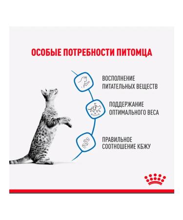 ROYAL CANIN Wet feed indoor sterilized for cats sauce 85 g 12 pcs - Buy Online on GoSupps.com