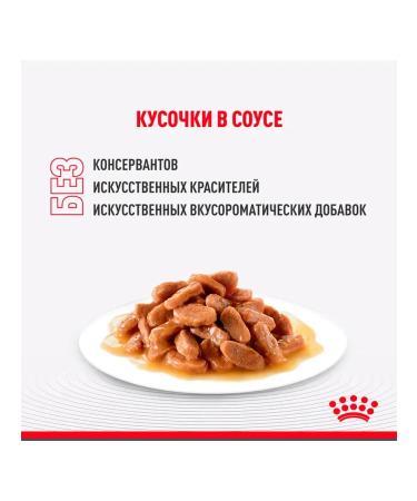 ROYAL CANIN Wet feed indoor sterilized for cats sauce 85 g 12 pcs - Buy Online on GoSupps.com