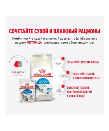 ROYAL CANIN Wet feed indoor sterilized for cats sauce 85 g 12 pcs - Buy Online on GoSupps.com