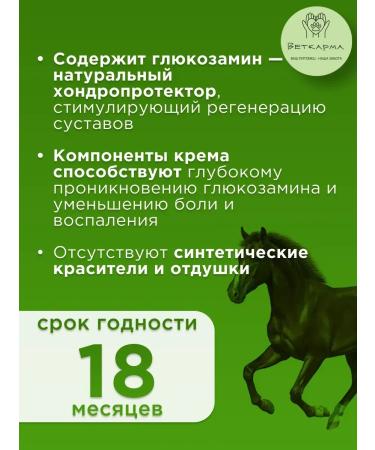 AVZ Alezan horses cream for joints 100 g - Buy Online on GoSupps.com