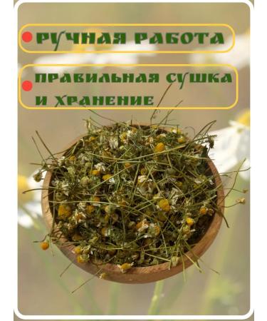 Herbs of Siberia Chamomile Pharmacy head flowers - Buy Online on GoSupps.com