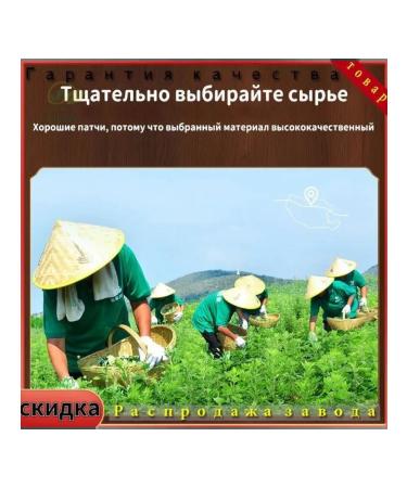 Patch for relieving pain from wormwood 100pcs - Buy Online on GoSupps.com