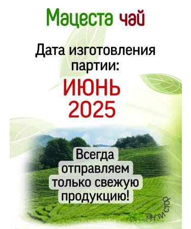 Matsesta tea Tea set "Krasnodar souvenir" - Buy Online on GoSupps.com