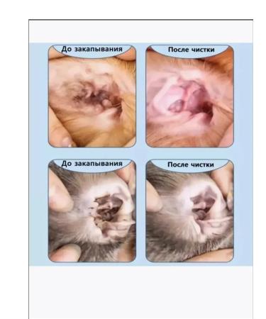 Ear drops from the ear tick for dogs and cats 180ml - Buy Online on GoSupps.com