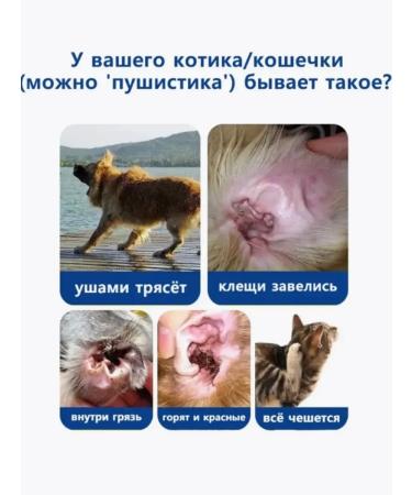 Ear drops from the ear tick for dogs and cats 60ml - Buy Online on GoSupps.com