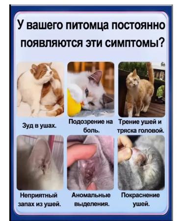 Ear drops from the ear tick for dogs and cats 60ml - Buy Online on GoSupps.com