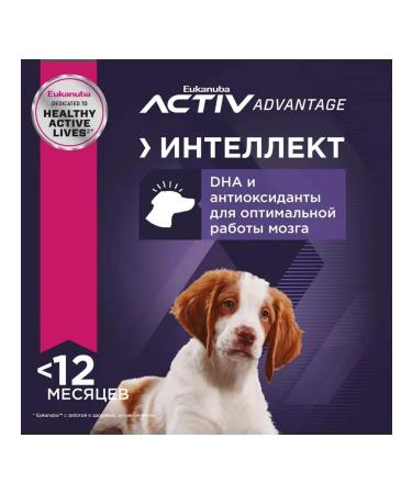 Eukanuba Dry food with chicken for medium -sized puppies 800 g - Buy Online on GoSupps.com