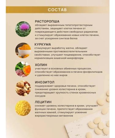 ArtLife Hepara Formula Restoration of the liver - Buy Online on GoSupps.com