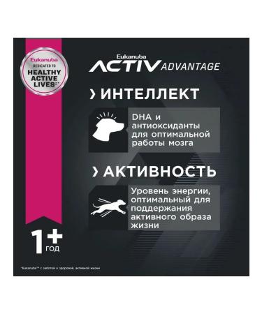 Eukanuba Dry food with chicken for adult dogs of small species 3 kg - Buy Online on GoSupps.com