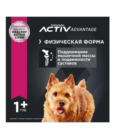 Eukanuba Dry food with chicken for adult dogs of small species 3 kg - Buy Online on GoSupps.com