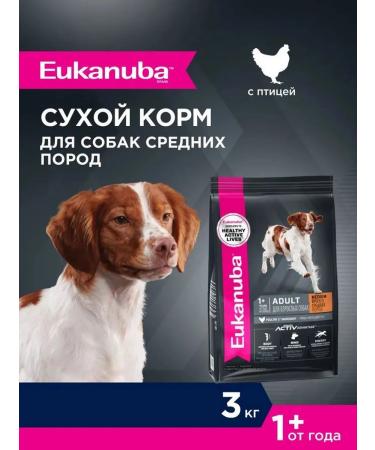 Eukanuba Dry food with chicken for adult dogs of medium species 3 kg - Buy Online on GoSupps.com