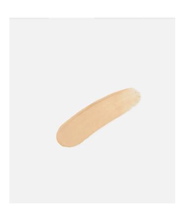 LUXVISAGE Facial Concealer Fluid 102 Light - Buy Online on GoSupps.com
