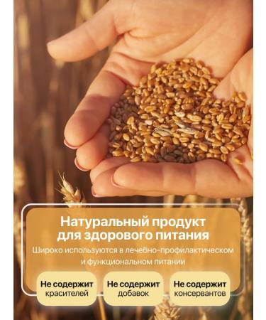 Oatmeal oatmeal 350g 2 pcs - Buy Online on GoSupps.com