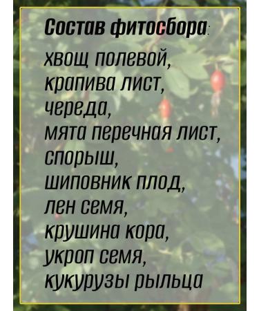 Teas of the Caucasus Herbs cleansing No. 8 - 2 pcs herbal - Buy Online on GoSupps.com