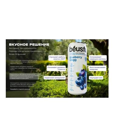 Beuseful Useful lemonade Beusful 0.33l.*20pcs. Blueberry - Buy Online on GoSupps.com