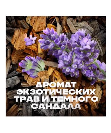 Axe Shower gel 3B1 "Power of the Jungle" 250 ml - Buy Online on GoSupps.com