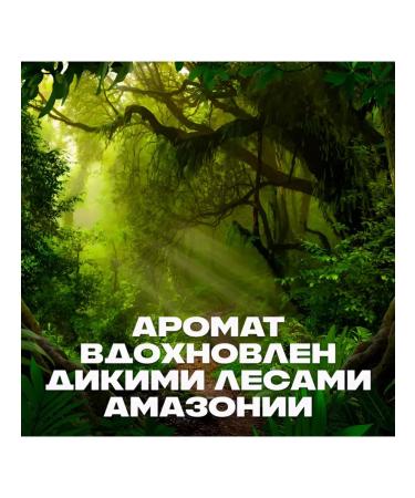 Axe Shower gel 3B1 "Power of the Jungle" 250 ml - Buy Online on GoSupps.com