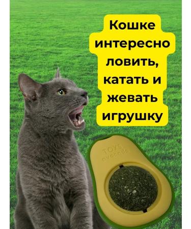 Musya 1 Catnip - Buy Online on GoSupps.com