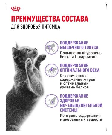 Royal Canin Sterilized 37 Dry Food for Sterilized Cats 2 kg - Buy Online on GoSupps.com