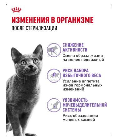 Royal Canin Sterilized 37 Dry Food for Sterilized Cats 2 kg - Buy Online on GoSupps.com