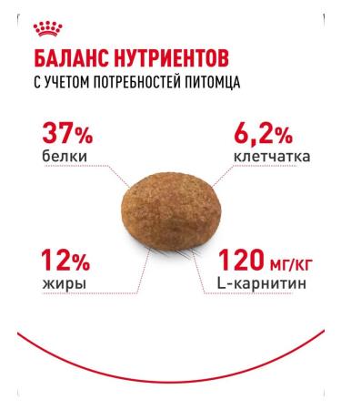 Royal Canin Sterilized 37 Dry Food for Sterilized Cats 2 kg - Buy Online on GoSupps.com