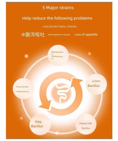 Powder for the gastrointestinal tract cats and dogs 50g 2 in 1 promotion - Buy Online on GoSupps.com