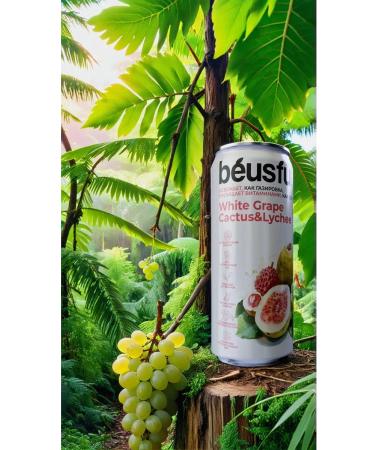 Beuseful Useful lemonade Beusful 0.33l.*20pcs. Bel. Vinograd Lichi - Buy Online on GoSupps.com