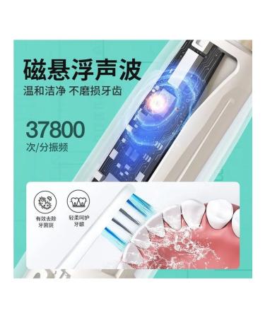 Electric sound denture dr bei 4 nozzles white - Buy Online on GoSupps.com