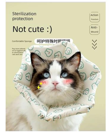 Collar for cats and dog-blue l adjustable - Buy Online on GoSupps.com