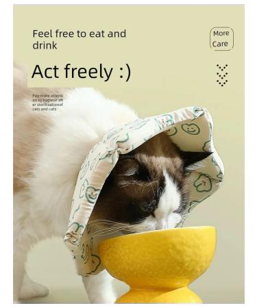 Collar for cats and dog-blue l adjustable - Buy Online on GoSupps.com