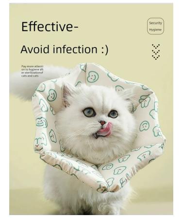 Collar for cats and dog-blue l adjustable - Buy Online on GoSupps.com