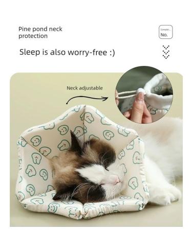 Collar for cats and dog-blue l adjustable - Buy Online on GoSupps.com