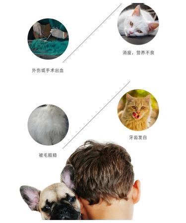 Bemate Paste 120g for dogs and cats-red liver - Buy Online on GoSupps.com