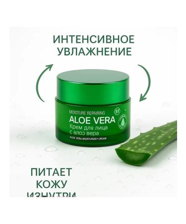 IND-IND intensive Fly cream for face with aloe for daily care