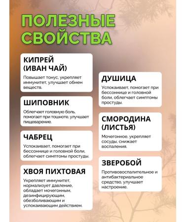 ONE2SHOP Herbal tea taiga - Buy Online on GoSupps.com