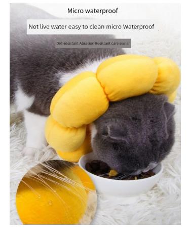 Collar of Elizabeth soft l to 7 kg water -repellent durable - Buy Online on GoSupps.com