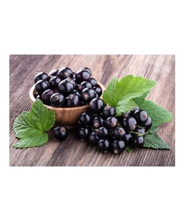 golden taste Suffle honey with mangoes and blackcurrant - Buy Online on GoSupps.com