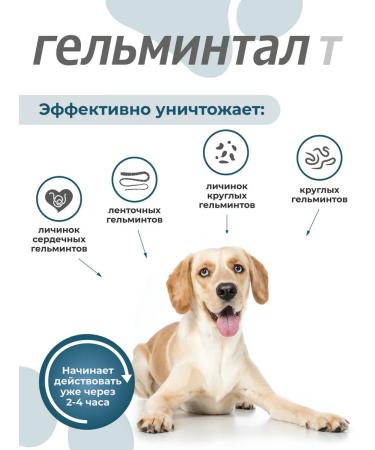 Helmintal tablets for dogs more than 10 kg 2 tablet E304 - Buy Online on GoSupps.com