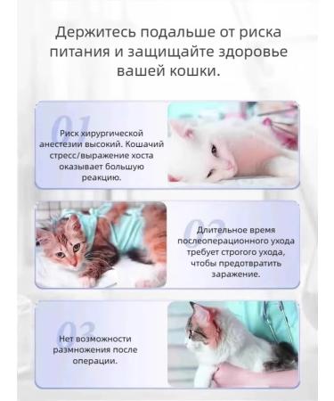 Antisex drops for cats from estrus Sedding 50ml - Buy Online on GoSupps.com