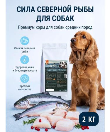 BERITA Dry food for dogs with fish 2 kg