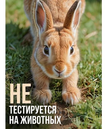 biothal Facial scrub set and clay mask - Buy Online on GoSupps.com