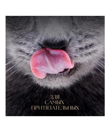 Sheba Soup collection wet food for cats trout 28x70 g - Buy Online on GoSupps.com