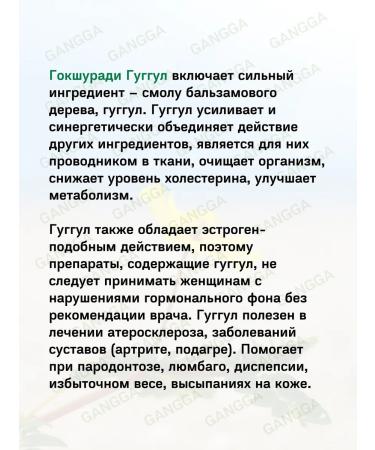 Baidyanath Herbal tea for the urinary system and kidneys Gokshuradi Guggulu 80 tablets - Buy Online on GoSupps.com