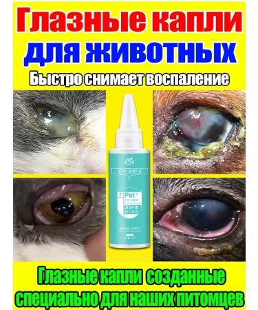 Universal antibacterial eye drops for cats and with ...