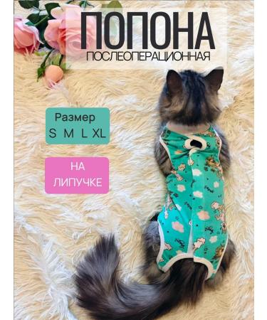 abentex Popon postoperative for a cat on Velcro