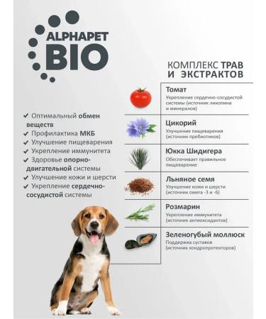 AlphaPet Medium -breed dog food with beef and giblets 12kg - Buy Online on GoSupps.com