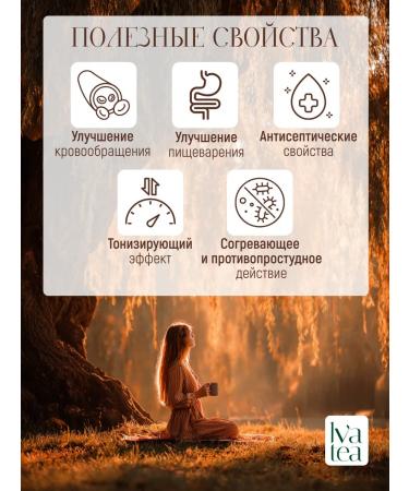 Iva tea Ginger tea "Mulled wine" warming - Buy Online on GoSupps.com