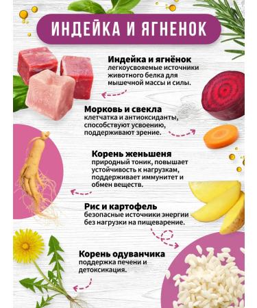 AiRi Airi Airi Dry food for large breeds Turkey and Lamb with ginseng 10 kg - Buy Online on GoSupps.com