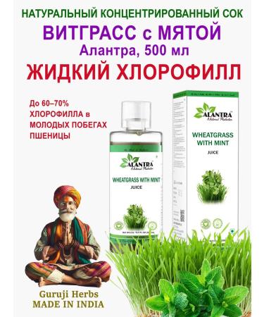 Witgrass's juice (chlorophyll) with natural mint Alantra 500 ml