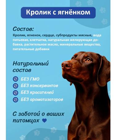 Dog food is wet with a rabbit and lamb 240 g 12 pcs - Buy Online on GoSupps.com